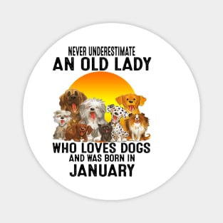 Never Underestimate An Old January Lady Who Loves Dogs Magnet